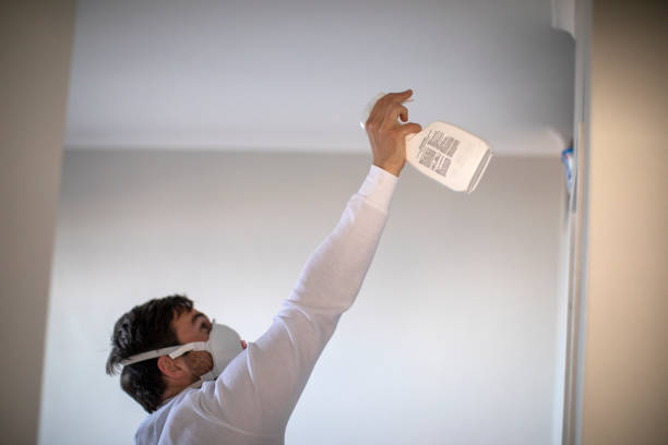 Best Home Mold Removal  in Pittsburg, TX