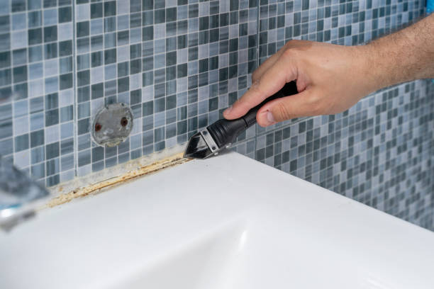 Reliable Pittsburg, TX Mold Removal Solutions