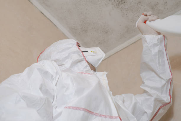 Best Crawl Space Mold Removal  in Pittsburg, TX