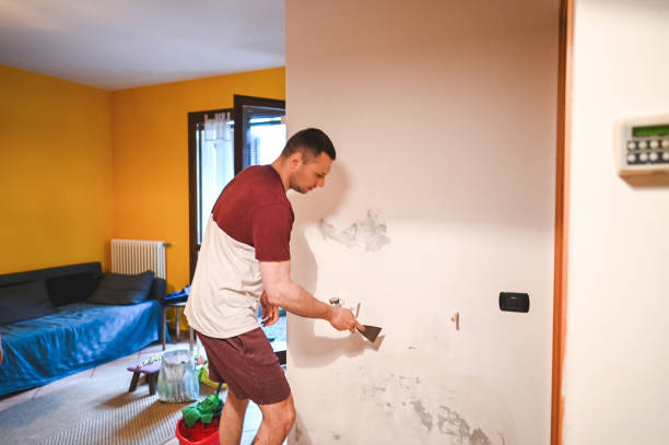 Best Best Mold Removal Companies  in Pittsburg, TX