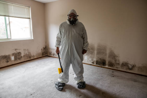 Best Toxic Mold Removal  in Pittsburg, TX